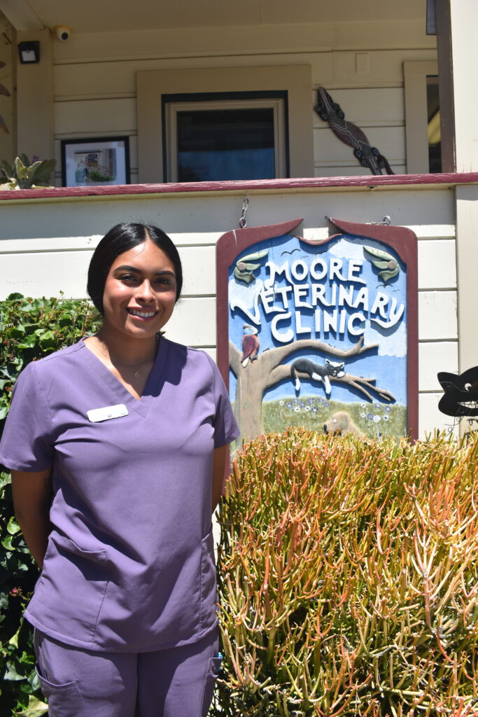 Member of our team- Veterinary Assistant Andrea